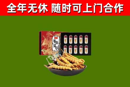 庆元县回收冬虫夏草价格